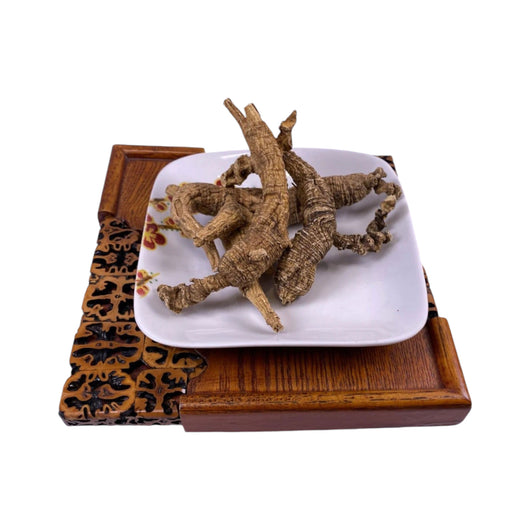 American Wild Ginseng XL (Each Tael)