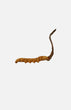 Cordyceps(Queen)(20g)