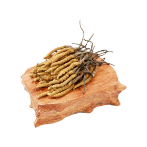 Cordyceps(Elementary)(10g)