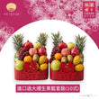 Import Fruit Basket Hamper(10 items)