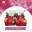 Import Fruit Basket Hamper(10 items)