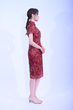 Antonio Ladies Lace Qi Pao 2023-2317