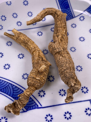 American Wild Ginseng XL (Each Tael)