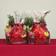Import Fruit Basket Hamper(6 items)