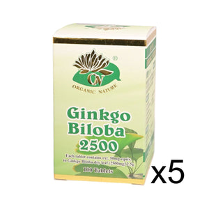 Ansupreme Ginkgo Biloba(100 tablets)(5 Btl Set)